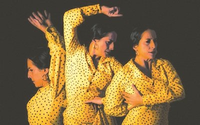• A display at a Flamenco show