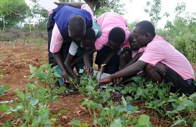 ●●Ghana needs more youth in agric