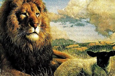 • The lion and the sheep