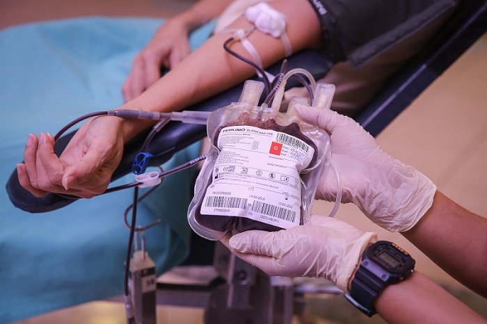 Blood donate PixBlood donate Pix