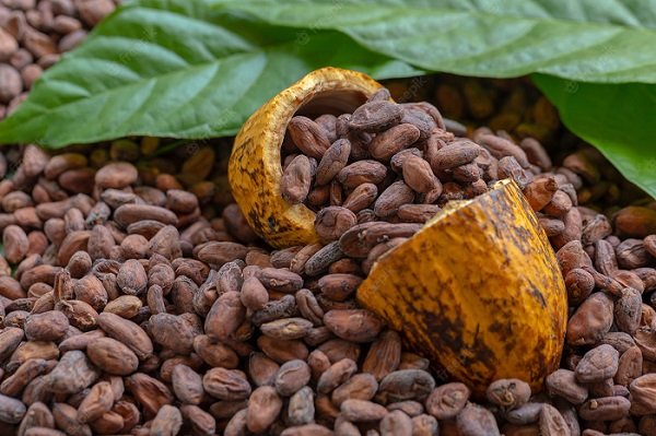 Cocoa