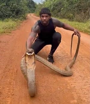 • He played with the python as people feared for his life