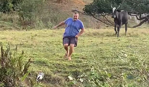 The animals chased the man as he ran from the spot