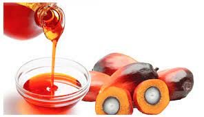 • palm oil