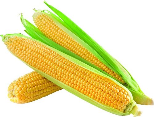 • Fresh corn