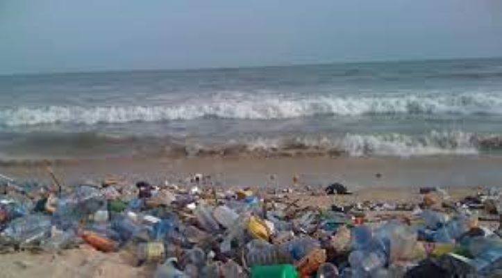 A section of the shore filled with filt