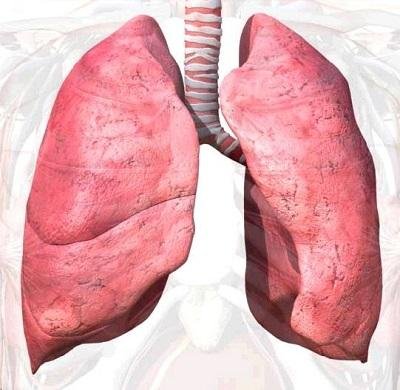 • The functions of the lung begin to reduce at age 30