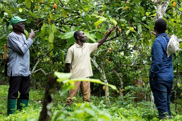 Farming have become a preserve of the elderly