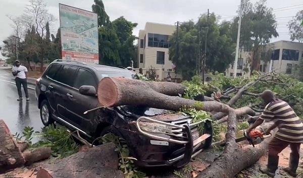 A worker cutting a fallen tree to allow traffic to flow
