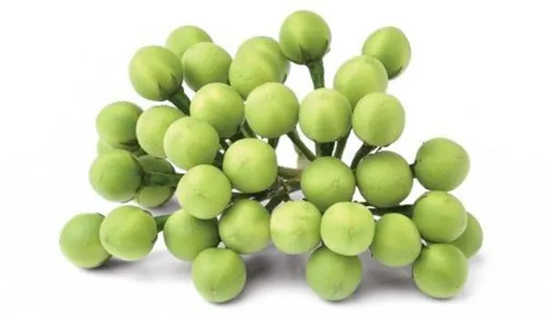 Turkey berries