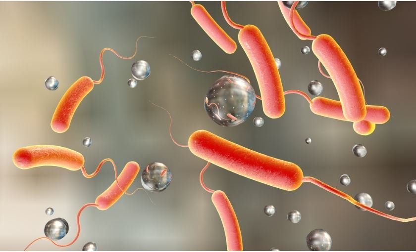 • Cholera virus