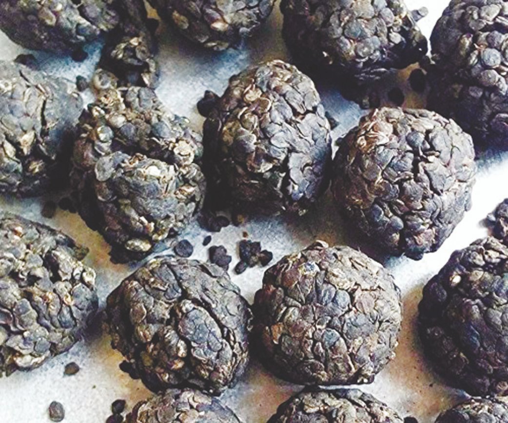 Dawadawa has a lot of nutritional benefits