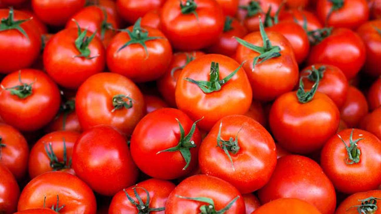 Some fresh tomatoes
