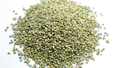 Millet
