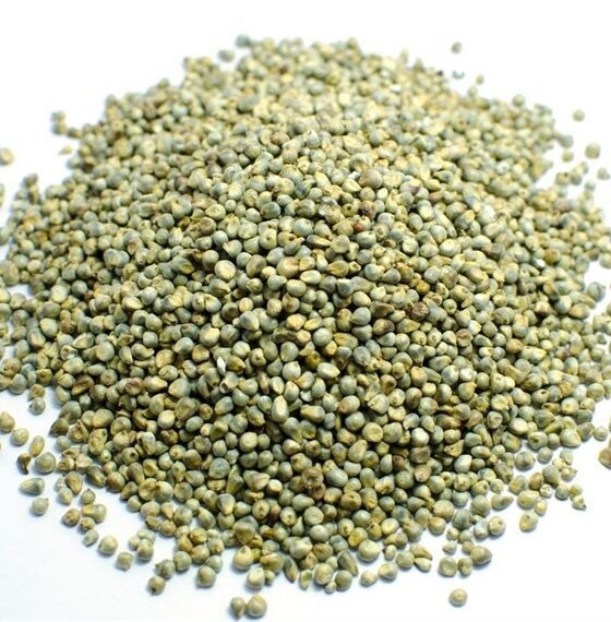 Millet