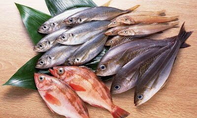 Some fresh fish on the market