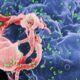 • HIV cases on the rise alarming