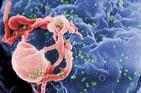 • HIV cases on the rise alarming