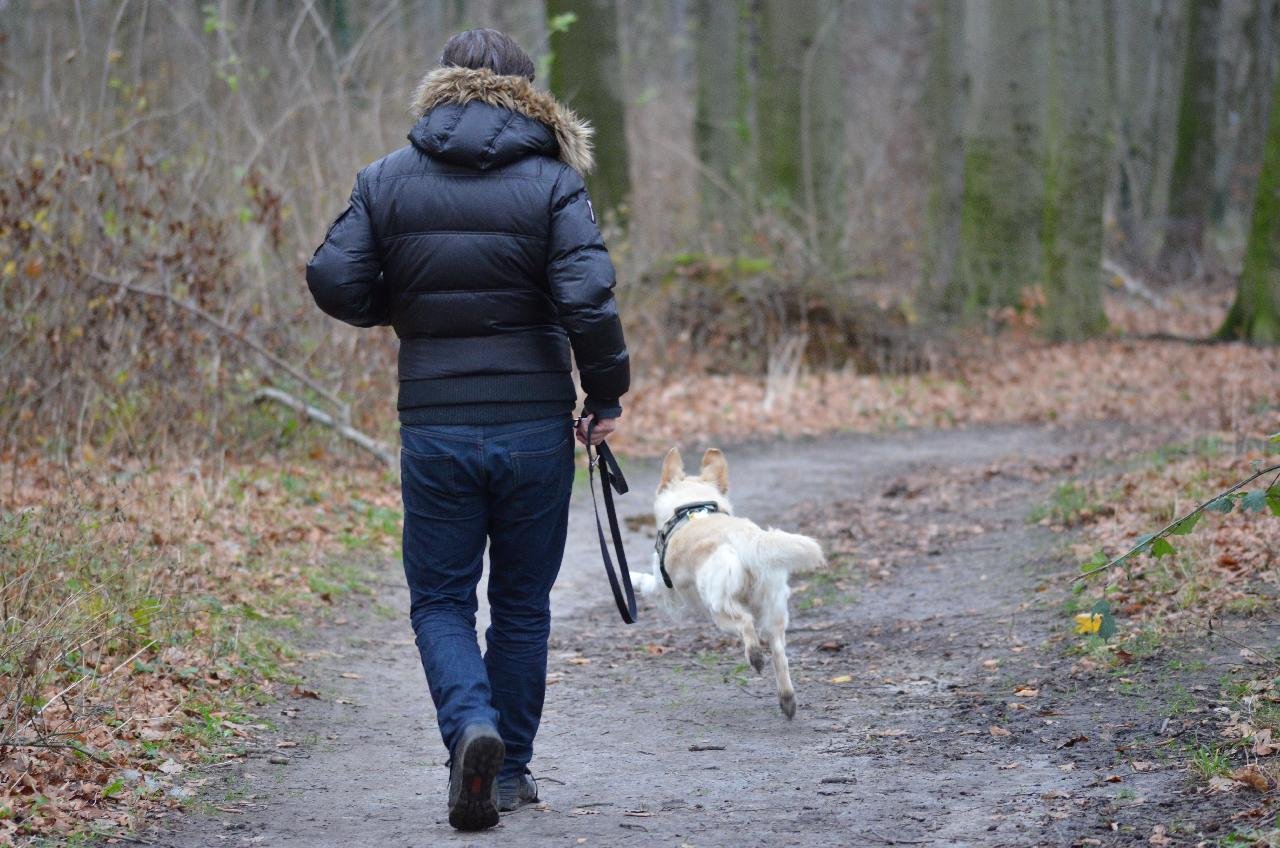 • A man walking with his pet