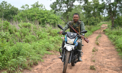 • A ranger on patrol