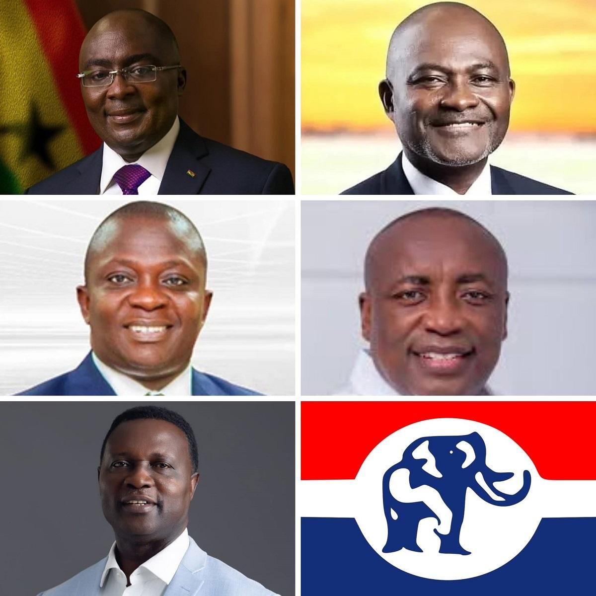 NPP Presidential Candidates