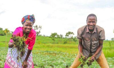 • Agriculture is a source of income in the country