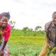 • Agriculture is a source of income in the country