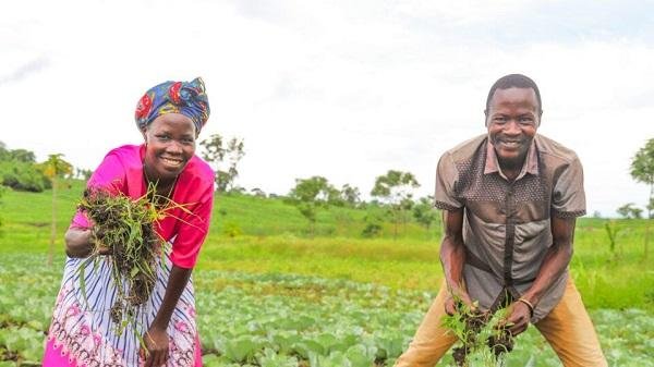 • Agriculture is a source of income in the country