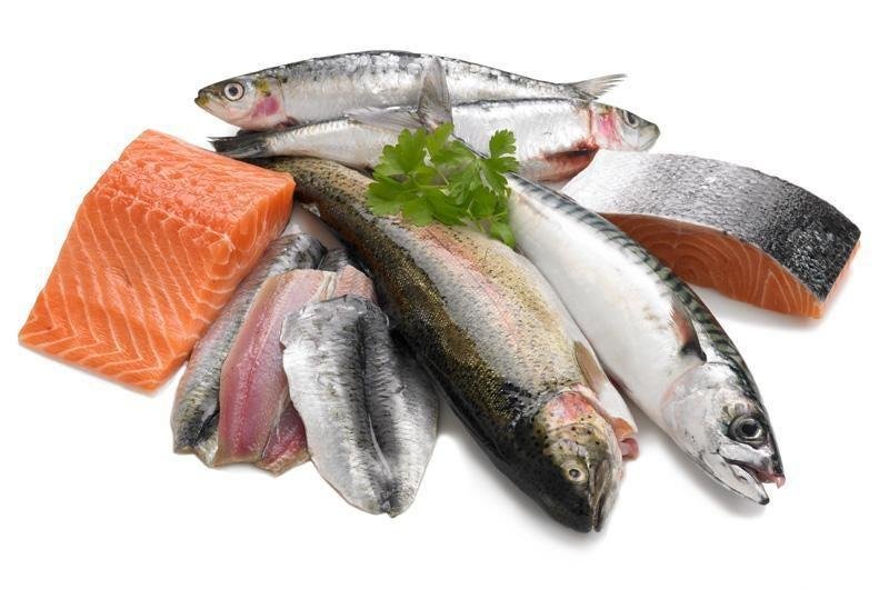 Fresh fish used for Fante Fante