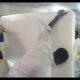 A display of substandard matress