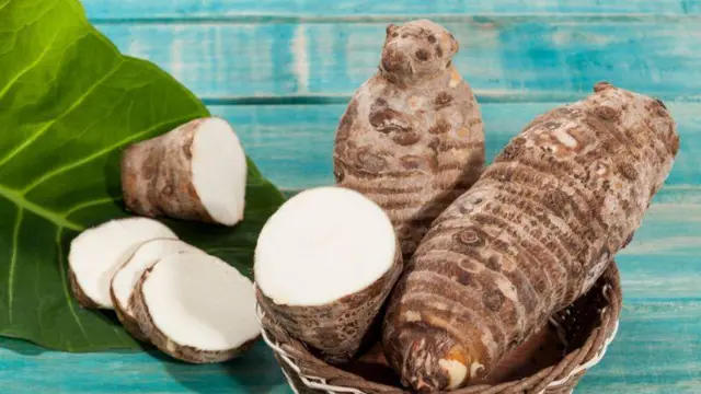 Cocoyam