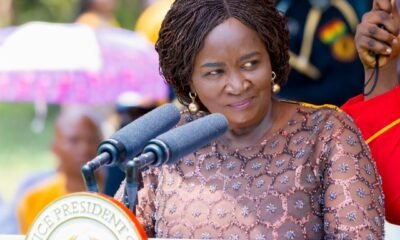 Vice President Prof Opoku Agyemann