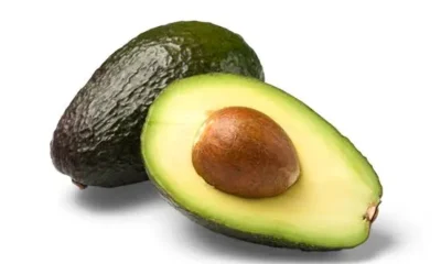 Avocado