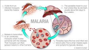 Malaria on the rise in Amansie West District