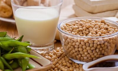 Homemade soya milk