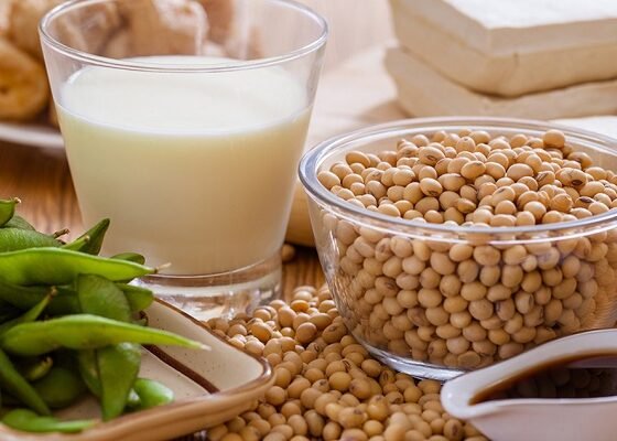 Homemade soya milk