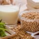 Homemade soya milk