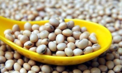 soya-beans