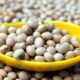 soya-beans
