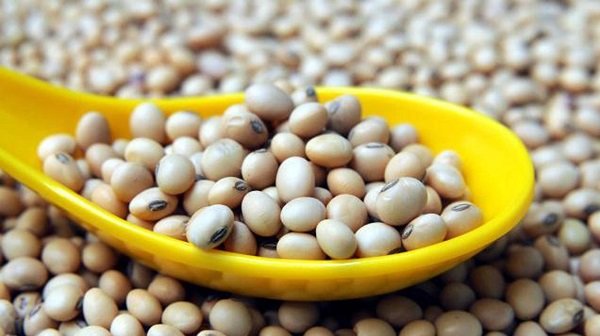 soya-beans