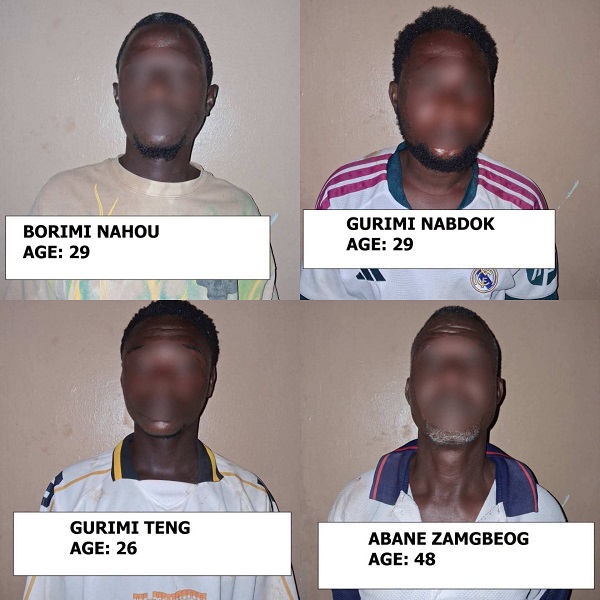Police arrest 14 suspects for narcotic drugs cultivation in Daliga