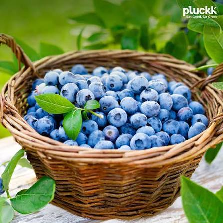 Blueberries
