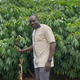 Dr Asante standing by a cassava plantation