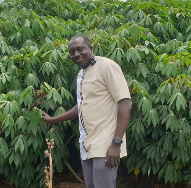 Dr Asante standing by a cassava plantation
