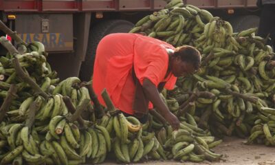 A plantain seller at Pokuase.