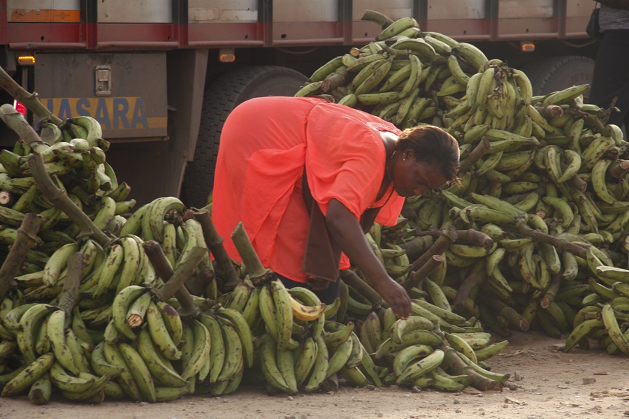 A plantain seller at Pokuase.