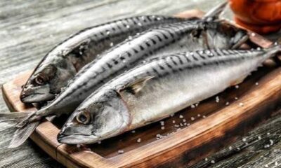 Fish is good for the skin