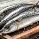 Fish is good for the skin