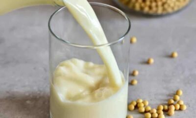 Homemade soya milk